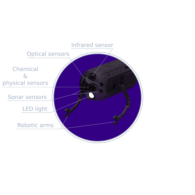 Iceworm Europa Probe